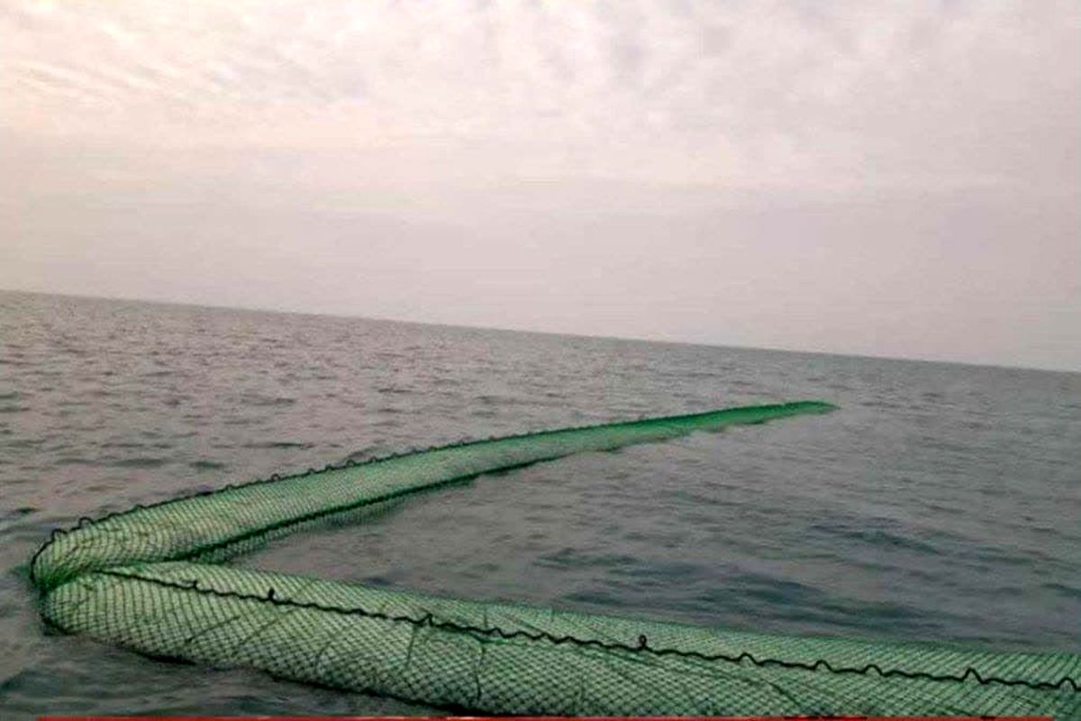 مزربانی+میناب