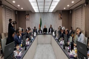 پایان صف‌های بنزین در هرمزگان تا پایان مردادماه / مجوز احداث جایگاه‌های جدید صادر می‌شود