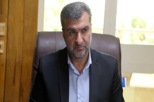 تمهیدات لازم برای تأمین پایدار نان مورد نیاز استان ایلام ادامه دارد