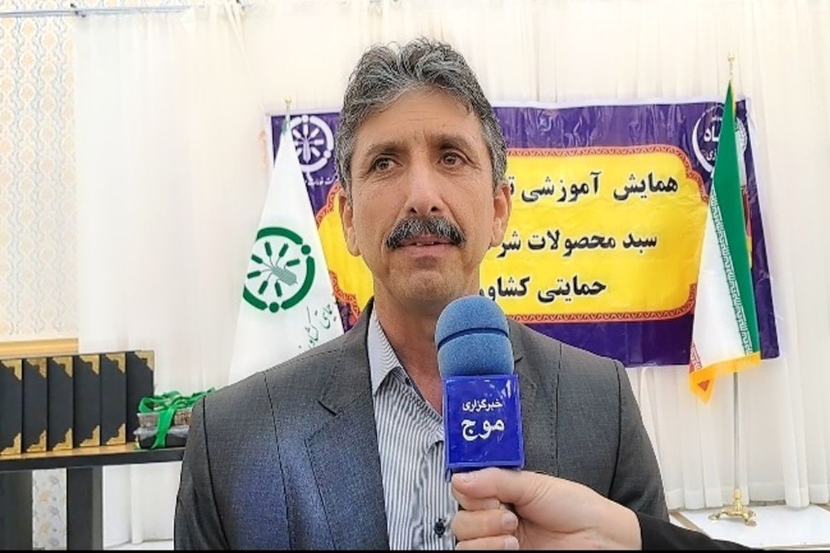 بیگی.