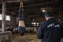 فاش شدن راز قتل چوپان در یافت‌آباد