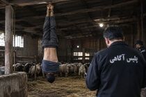 فاش شدن راز قتل چوپان در یافت‌آباد