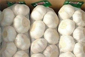 کشف 8 تن سیر قاچاق در بستک