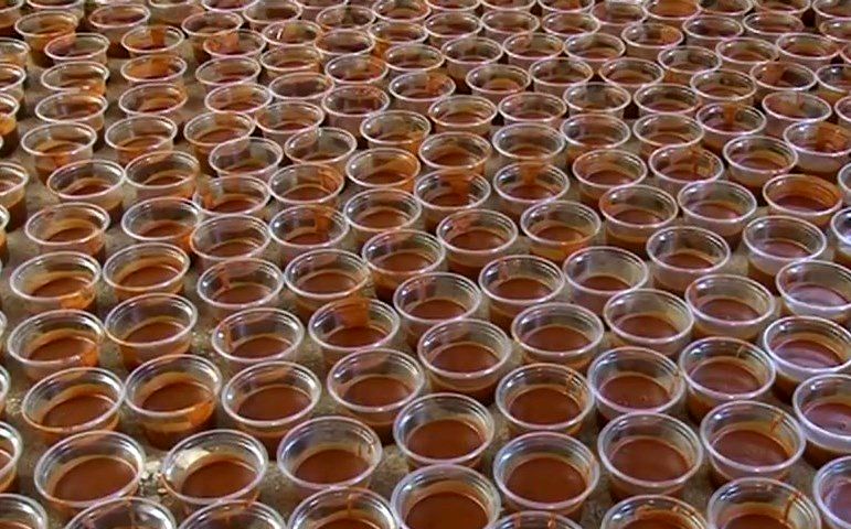 پخت 3 تن سمنو نذری در نوروزگاه اصفهان