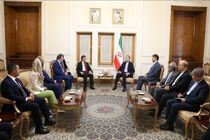 ایران نگاه ویژه‌ای در سیاست همسایگی به ترکیه دارد