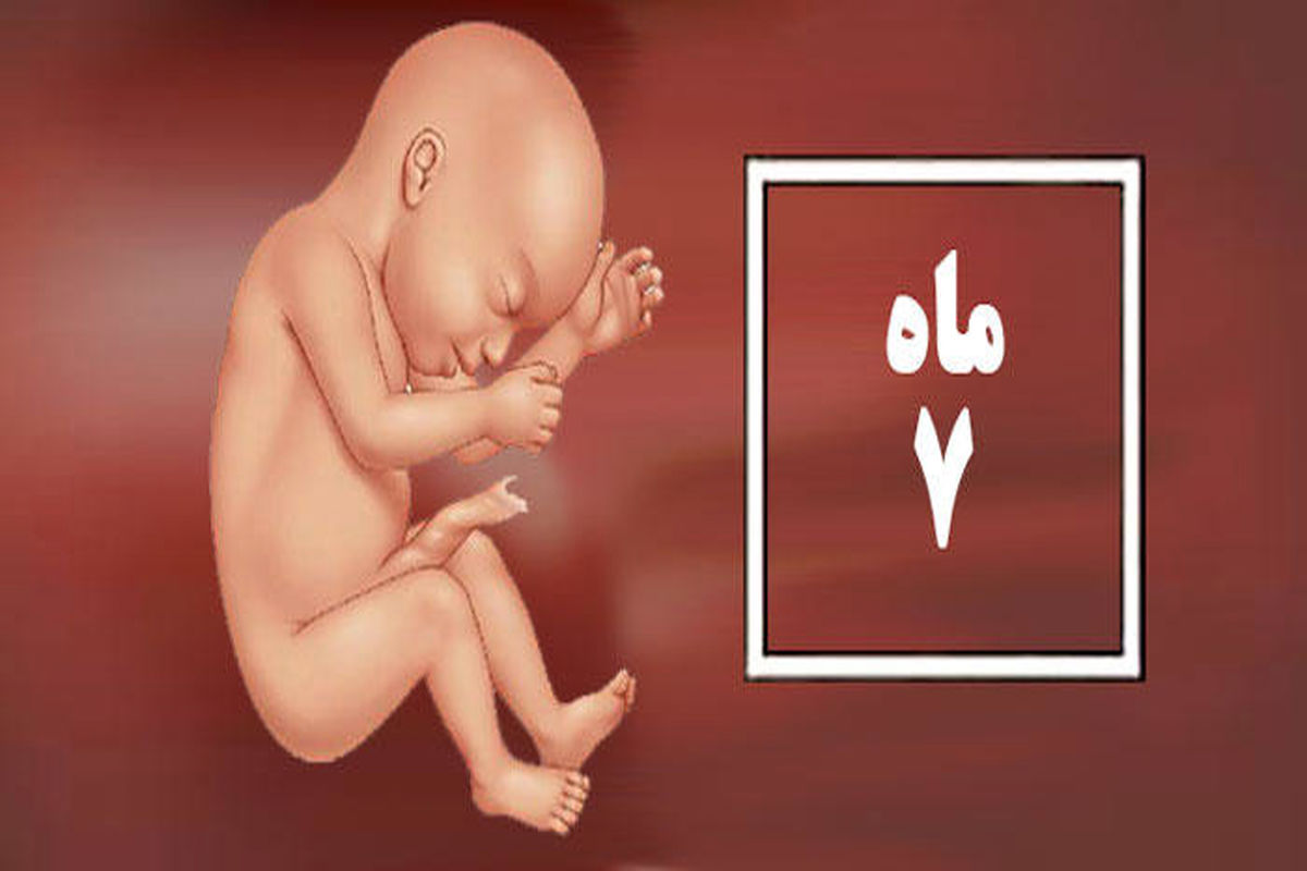 ماه هفتم بارداری