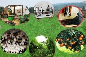 بهره مندی 1239 نفر از مدد جویان از دوره های آموزش های فنی و حرفه ای