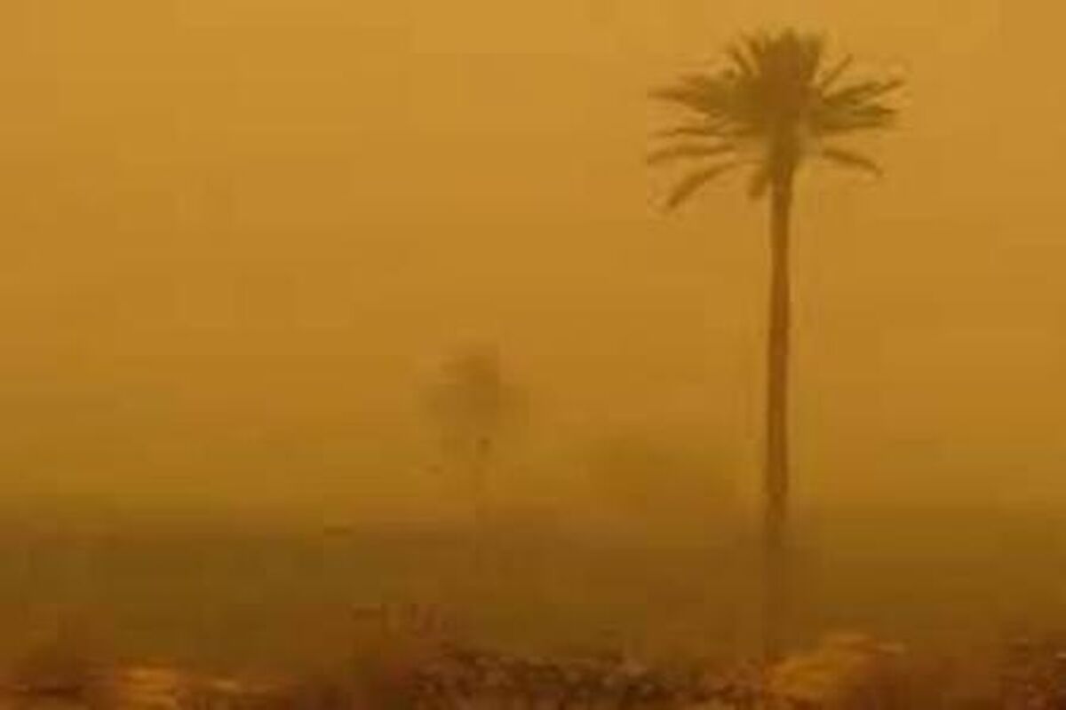 گردو غبار