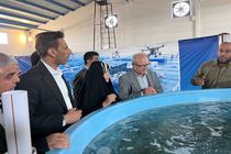 افتتاح مرکز تکثیر، نوزادگاهی و مولدسازی ماهیان دریایی ده میلیون قطعه‌ای در قشم