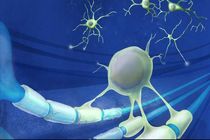 ام اس درمان می شود