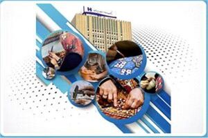 ​ایجاد ٩٦٠٠ شغل خانگی با ٤١٠٠ میلیارد ریال تسهیلات بانک صادرات ایران
