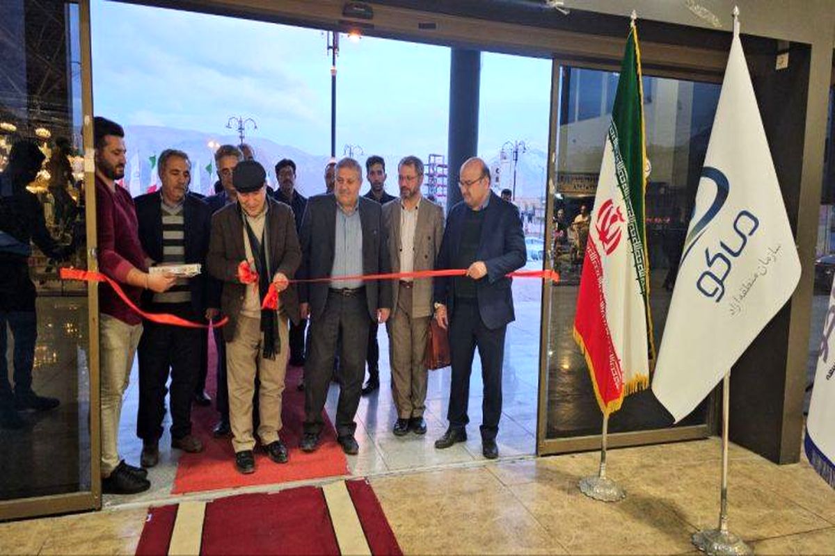 منطقه آزاد ماکو