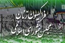 «فراکسیون زنان مجلس» مشکلات زنان تهران را بررسی می‌کند