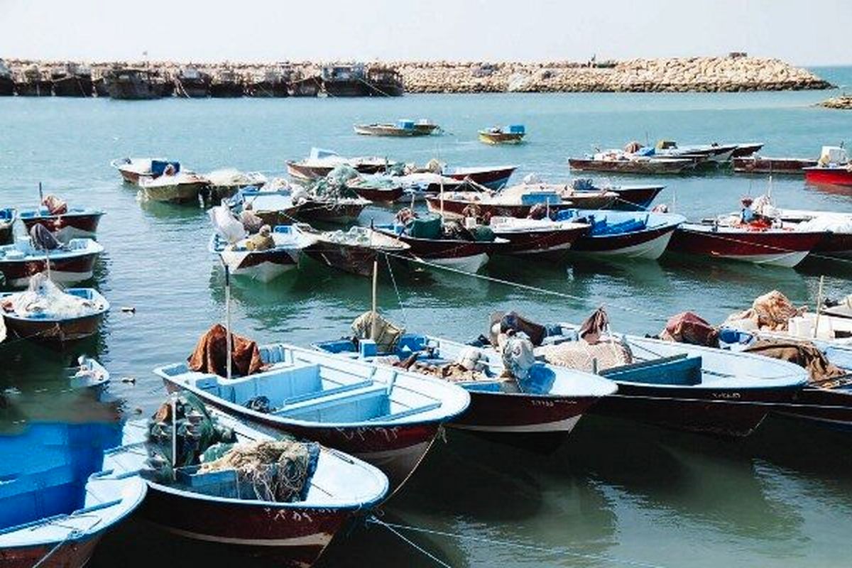 شناور