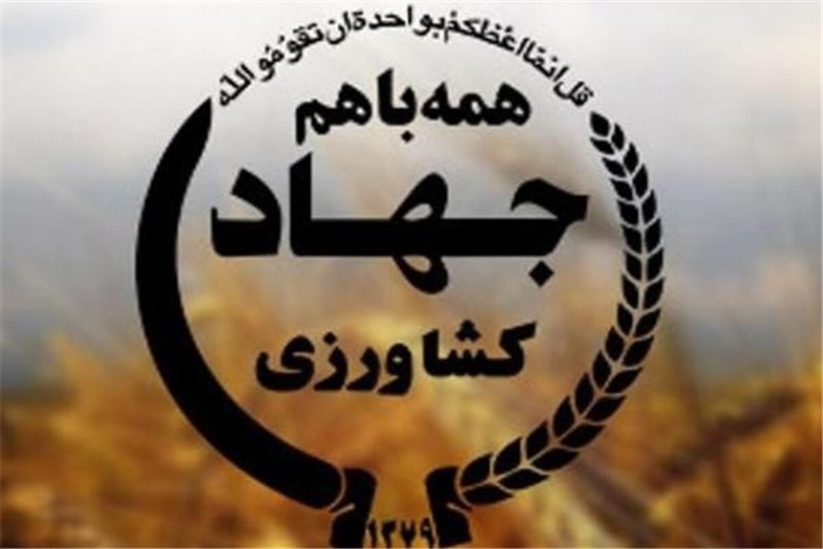 وزارت جهاد