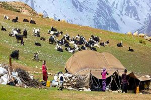 عشایر ۳۵ درصد صنایع دستی و گیاهان دارویی را تولید می‌کنند