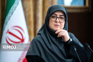 مهاجرانی: دولت حتی یک لحظه متوقف نشد