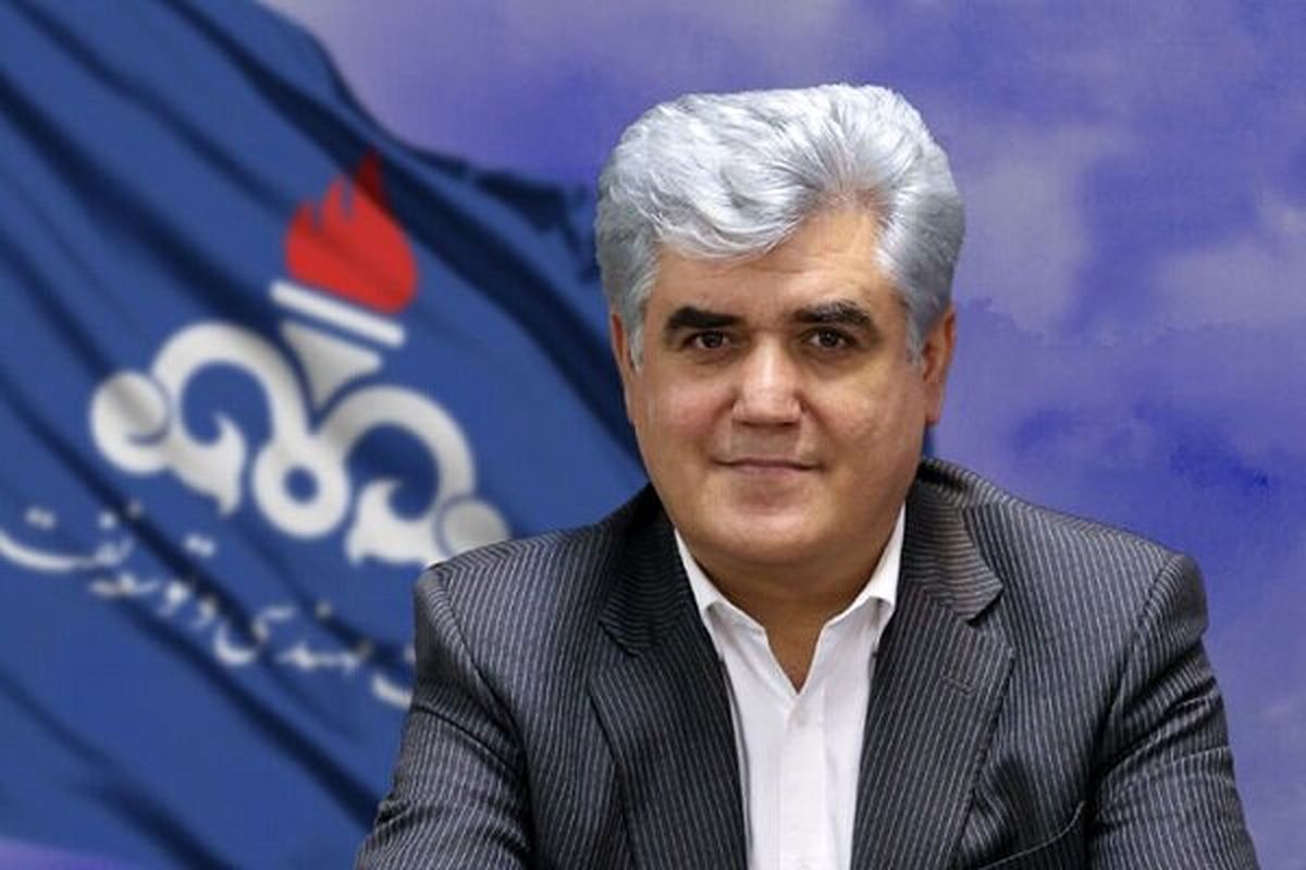 مدیرعامل شرکت مهندسی و توسعه نفت