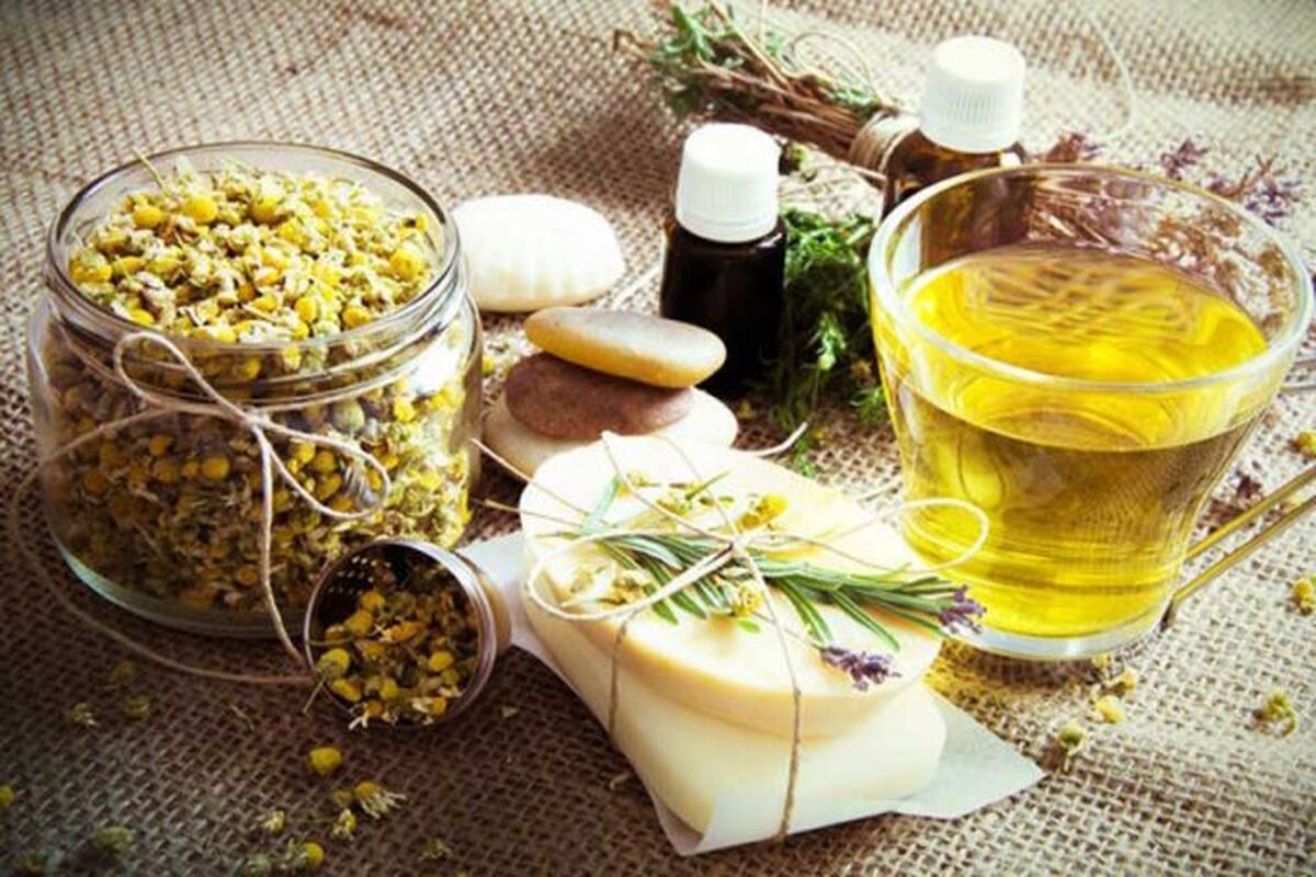گیاهان دارویی 