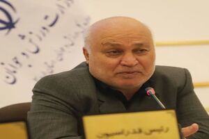 شهرداری ها بیشترین ظرفیت را برای توسعه زیر ساخت های اسکیت دارند