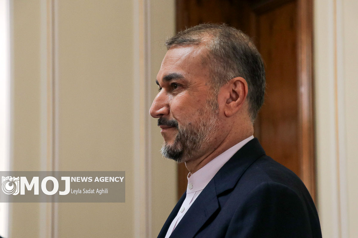 دیدار وزیر امور خارجه با وزیر صنایع آفریقای مرکزی