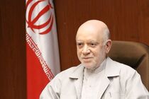 دولت به نظرات کارشناسان دلسوز توجه ندارد