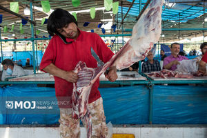 آغاز طرح تشدید نظارت بهداشتی عید قربان در سراسر کشور