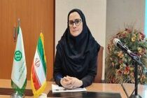 افزایش سهم بانک توسعه صادرات ایران از تسهیلات پرداختی شبکه بانکی