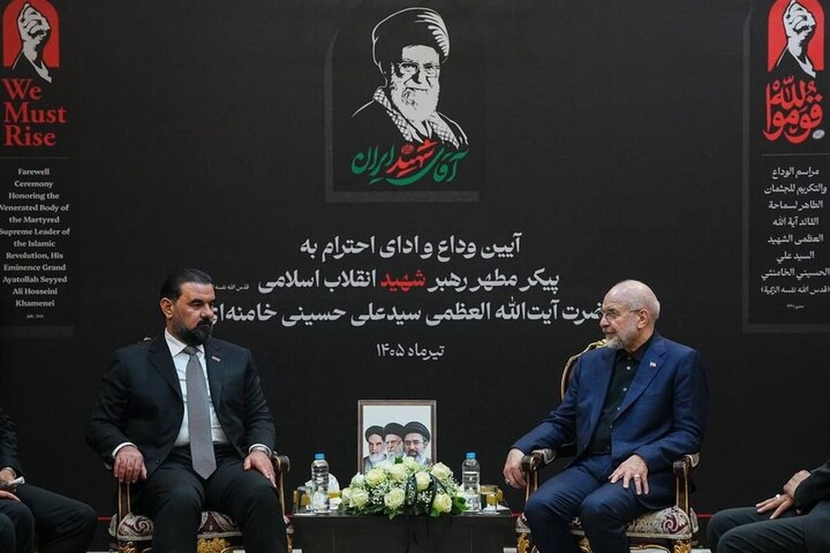 رئیس مجلس شورای اسلامی در دیدار با رئیس مجلس عراق