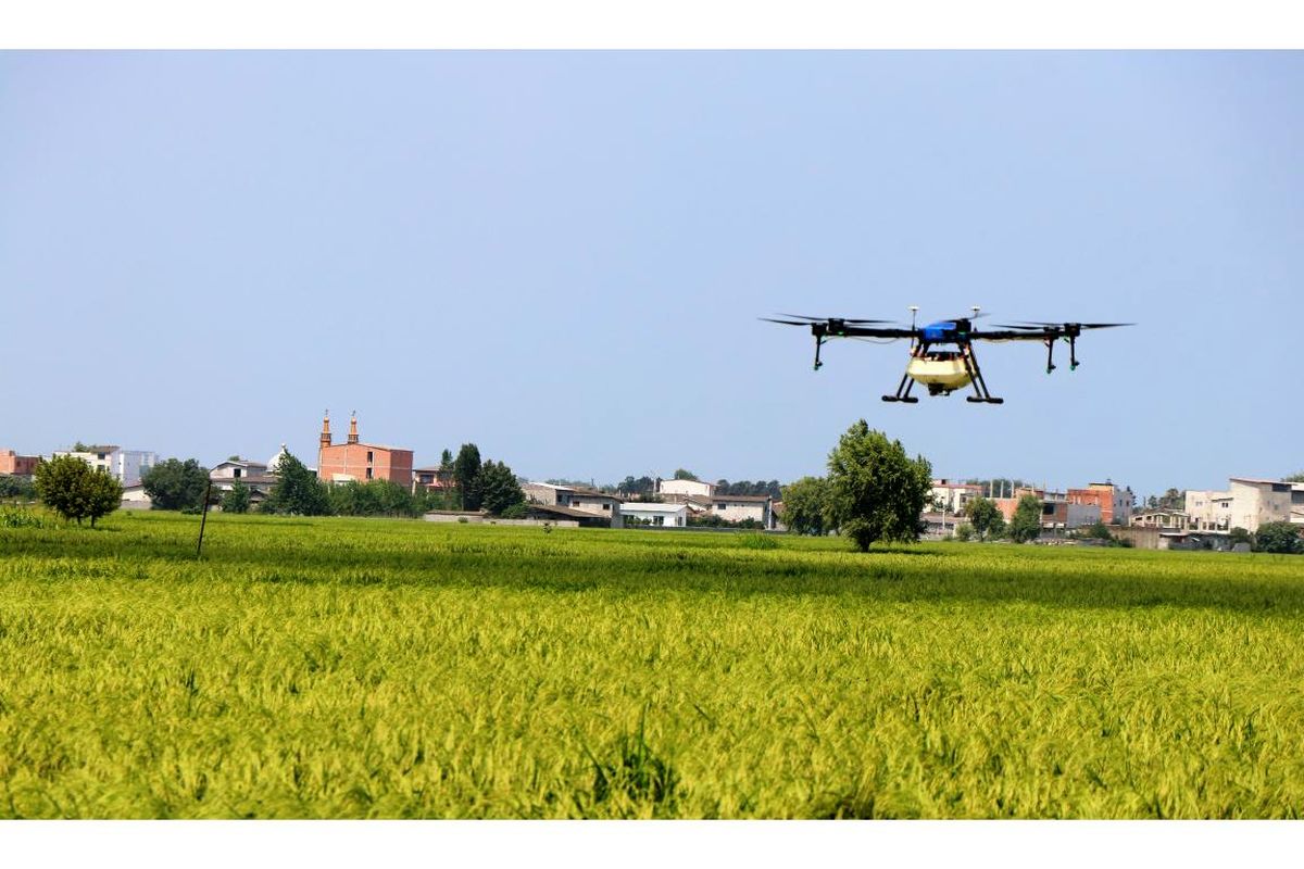 سمپاشی با پهباد