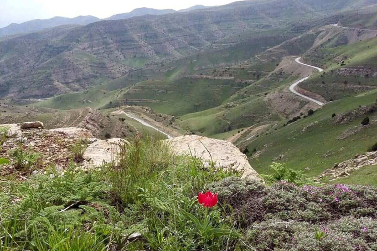 پارک ملی تندوره درگز