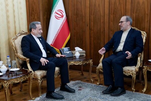 عراقچی بر تداوم دیپلماسی فعال در دیدار با سفرای ایران در اتریش و صربستان تاکید کرد