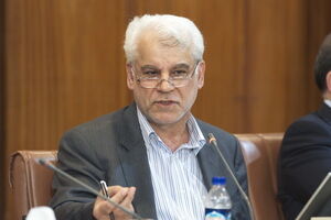دولت امکان کمک بانک مرکزی به موسسات اعتباری را فراهم کند