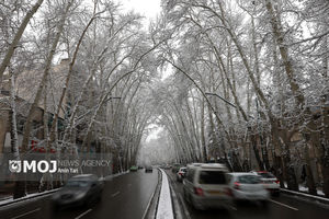 بارش باران و برف در غرب و شمال‌غرب/ تهران سرد می‌شود
