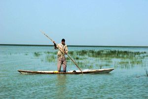 حفاظت از تالاب شادگان با کمک جوامع محلی 