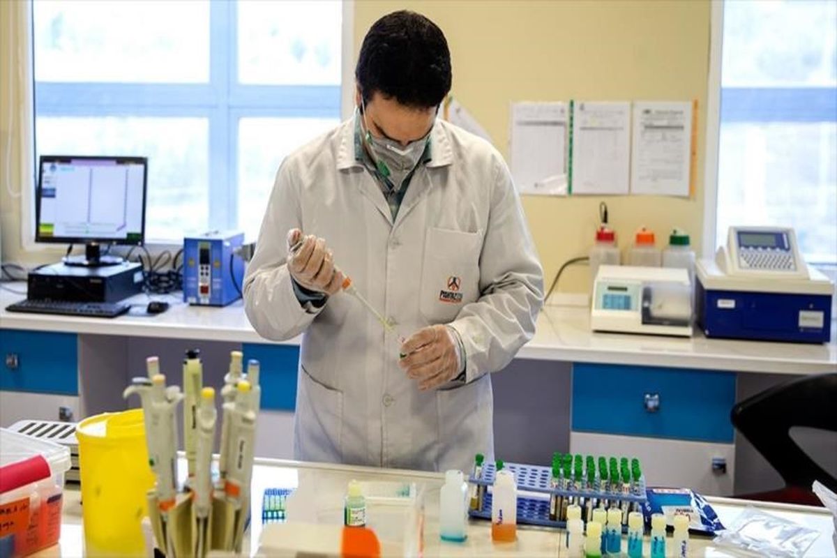 دانشگاه آزاد