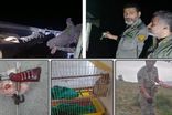 برخورد محیط‌بانان مازندران با متخلفان شکار و صید