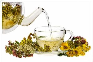 سرعت در اعطای مجوزهای لازم موجب انگیزه در فناوران می‌شود