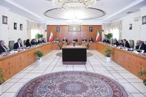عارف بر ساماندهی منابع سوخت نیروگاه‌ها تاکید کرد