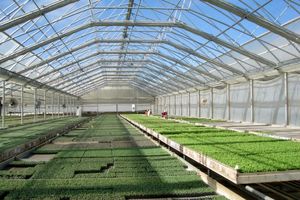 یزد پیشرو و مستعد در توسعه شهرک های کشاورزی