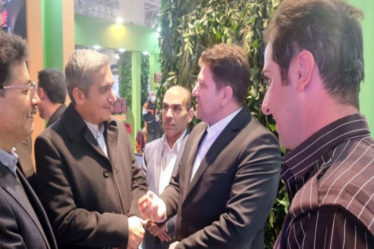 شریفی