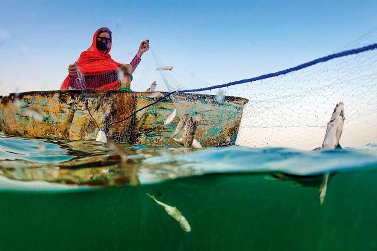 زنان صیاد هنگام