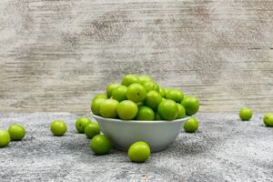 طریقه نگهداری طولانی مدت گوجه سبز/ تو زمستان هم خورش گوجه سبز درست کن!!