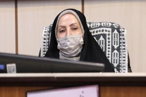 ضرورت ایجاد بسته های تشویقی برای سرمایه گذاری در احداث پل عابر پیاده