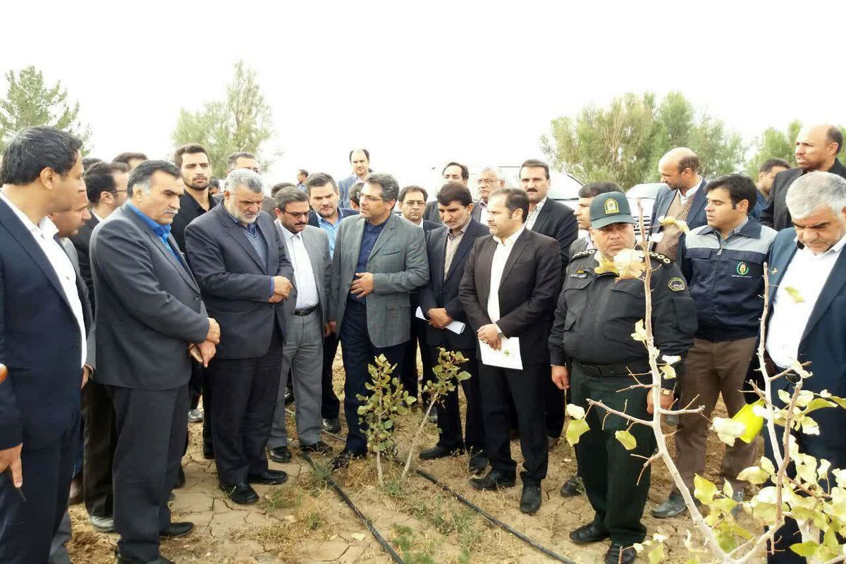 حجتی