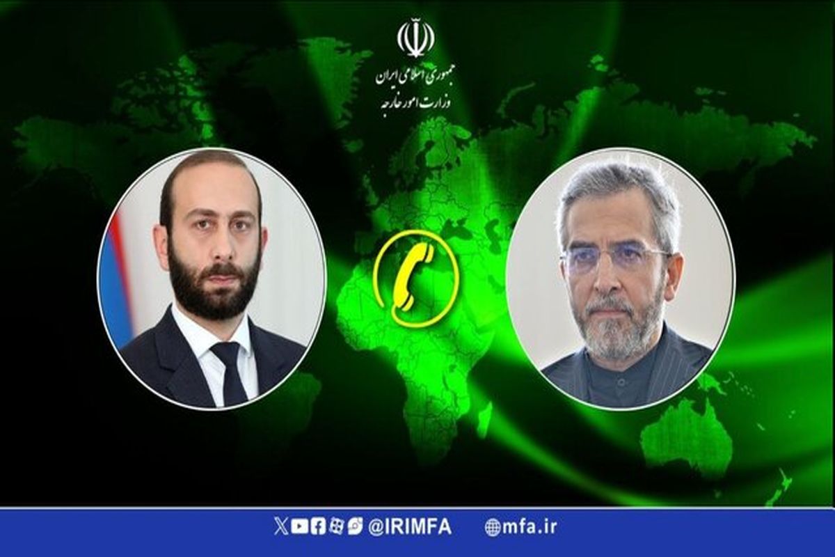 آرارات میرزویان وزیر خارجه ارمنستان و علی باقری