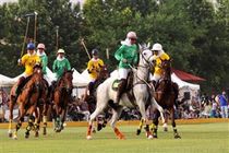 ملی پوشان چوگان به آرژانتین اعزام شدند