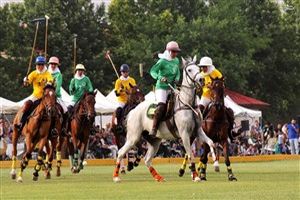 ملی پوشان چوگان به آرژانتین اعزام شدند