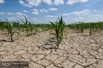  کشور به پنجمین سال پیاپی خشکسالی وارد شد