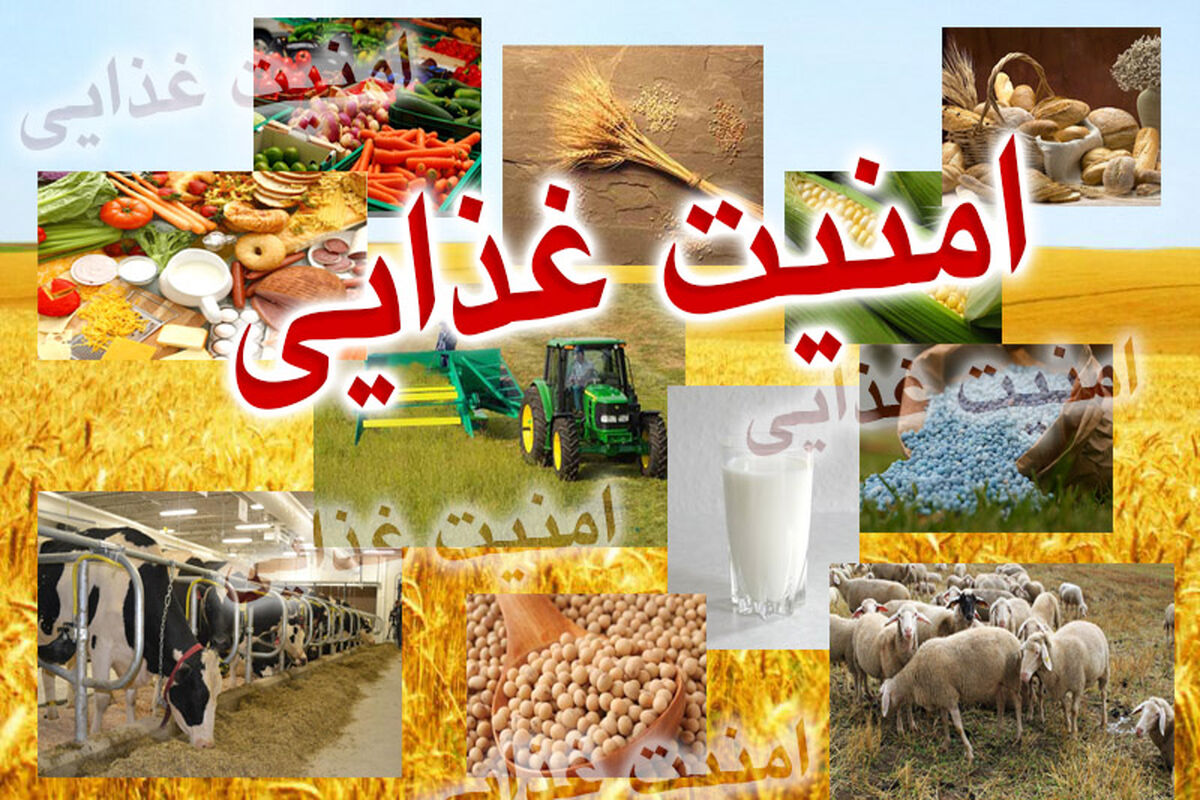 امنیت غذایی